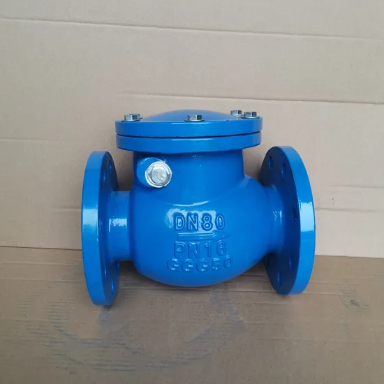 DIN 3202 F6 Ductile Iron Ggg50 Flanged RF End Swing Type Check Valve with Brass Seated