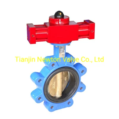 Pn6 Pn16 Pn25 JIS5K 10K 16K Wafer Semi Lug Doule Flange U Type Concentric Line Resilient Seated Soft Seat Butterfly Valves for Marine