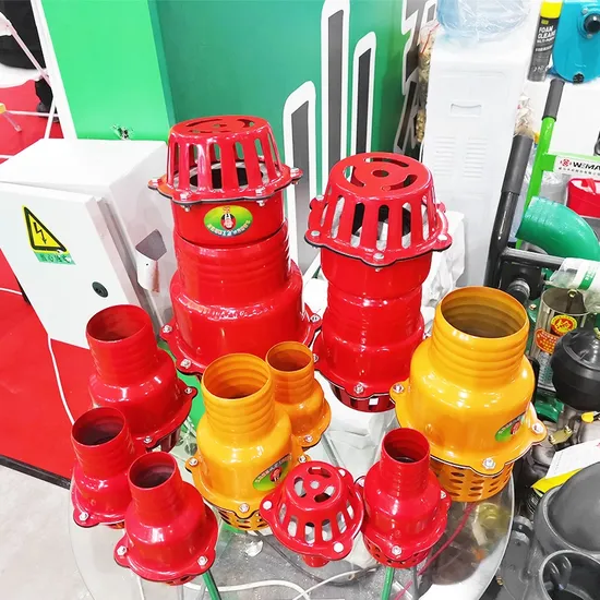 Factory Hot Sale Pipe Check Valve Pump Foot Valve Water Suction Valve