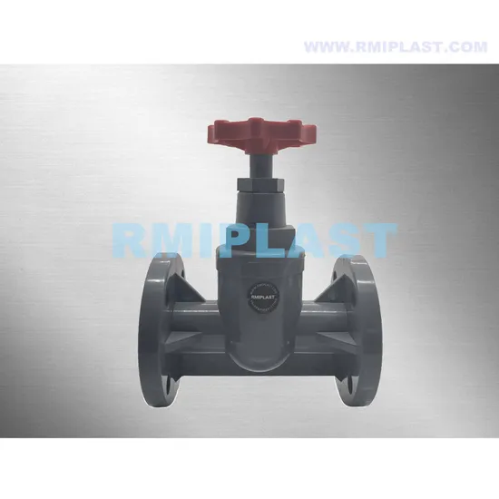 Plastic PVC PP Pph PVDF CPVC UPVC Flange Foot Valve Gate Valve Globe Valve Safety Valve Pressure Reduce Valve Air Vent Valve of Pn10 BS Cns ANSI Cl150 DIN JIS 