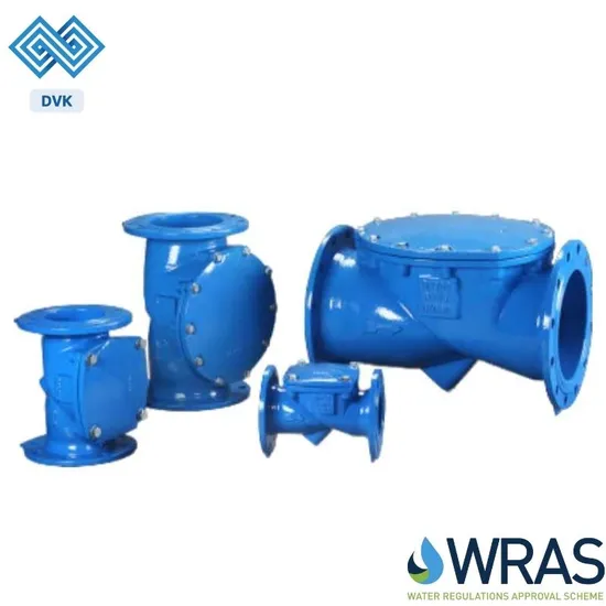 Manufacturer Ductile Iron Pn16 DN250 Flanged Soft Seat Resilient Seated Rubber Flap Flexible Disc Type Swing Check Valve 
