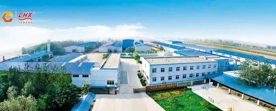 China Wholesaler Flanged Cast Iron Pn16 One Way Check Bottom Foot Valve for Water Pump 