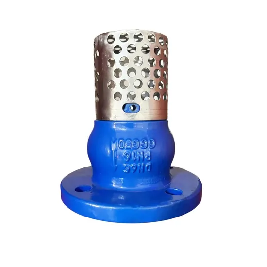 H42W Prevent Medium Backflow Stainless Steel Cast Iron Underwater Foot Valve 