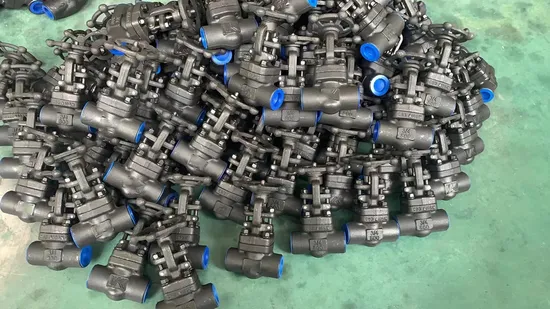 Forged Steel Lf2, F5, F11, F22, F304, F316, F304L Check Valve with Flange End 