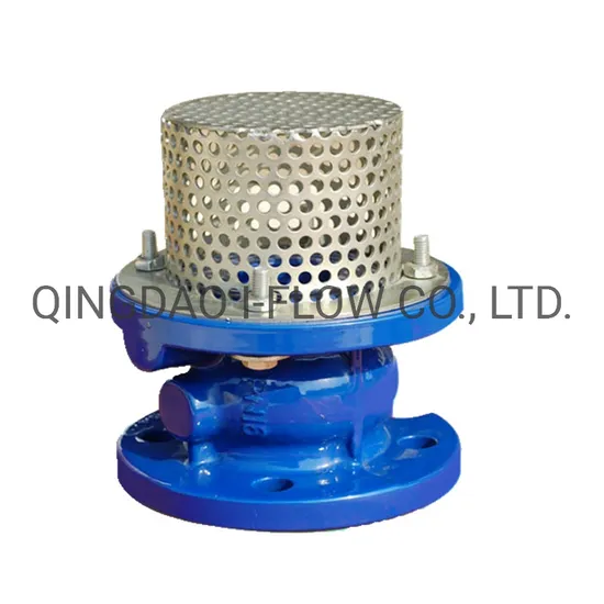 Stainless Steel Screen Vertical Type Check Valve Ductile Iron Foot Valve 