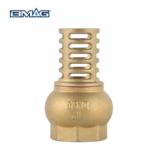 Bmag OEM Brass Foot Valve with Integrated Filter System 
