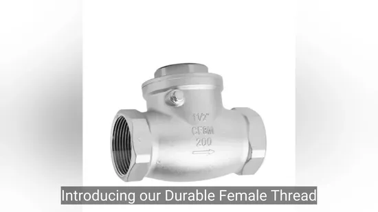 Stainless Steel SUS304/316 BS Pn16 ANSI JIS H42 Flanged Bottom Foot Valve 