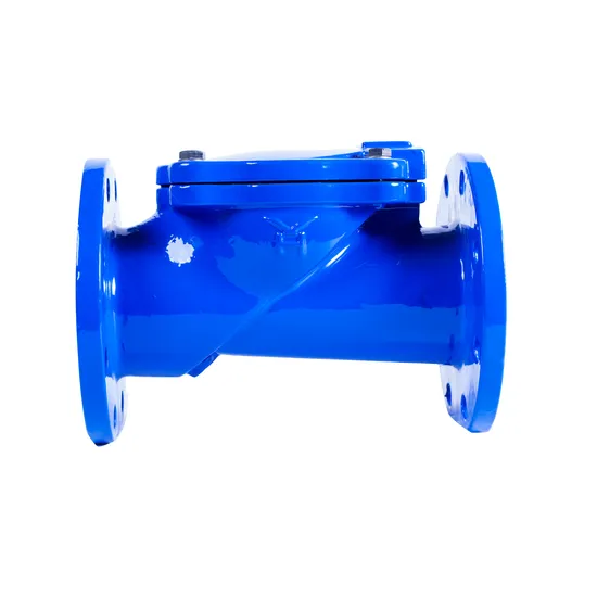 Forged Steel Wafer Check Valve with Customized Specifications Huhang Trademark 