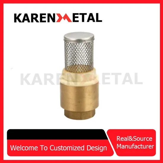 Brass Foot Valve Check Valve Non Return with Stainless Strainer for Pump 