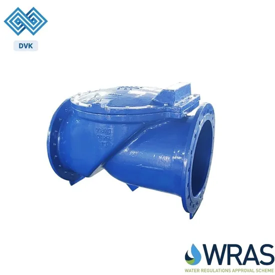Manufacturer Ductile Iron Pn16 Flange End Soft Seat Resilient Seated Rubber Flap Flexible Disc Type Swing Check Valve 