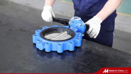 ANSI API CF8 Di Ci EPDM PTFE Strong Acid Ductile Iron Lever Opreated Wafer Lug Butterfly Valve China Suppliers 