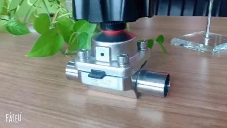 Sanitary Stainless Steel SS304/SS316L Welded Diaphragm Valve 