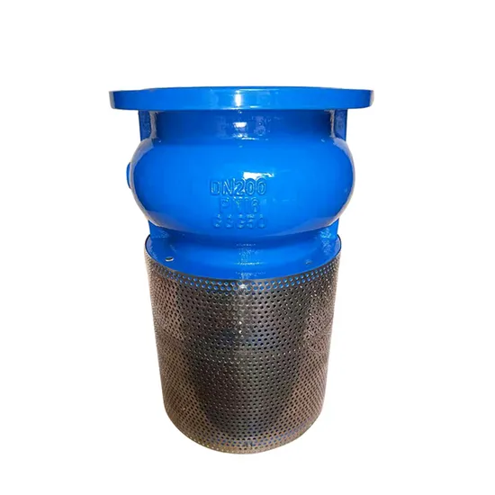 DN200 Pn16 Ductile Cast Iron Ggg50 Di Flanged Foot Check Valve with Stainless Steel Strainer 