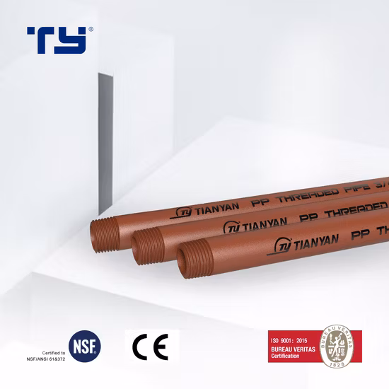 PVC CPVC PPR Plastic Fitting Male Threaded Fitting Pipe with Screw Thread (BS)